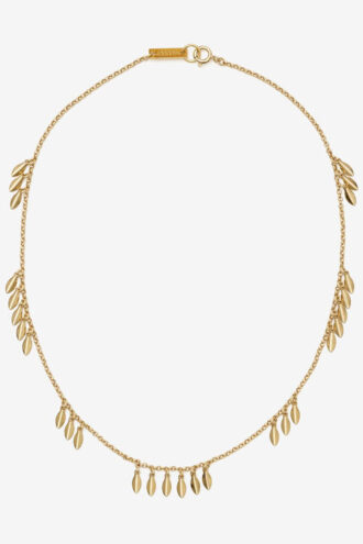 Metallisk, skinnende bladchoker